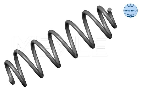 Coil Spring - 100 739 0054 MEYLE