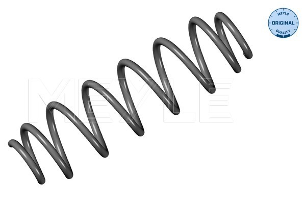 Coil Spring - 100 739 0057 MEYLE