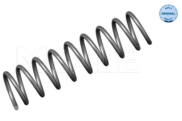 Molla autotelaio - 314 739 0003 MEYLE