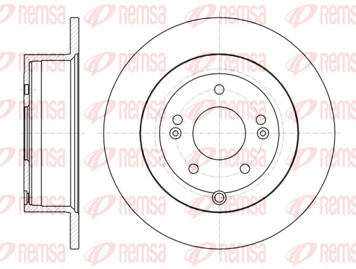 Brake Disc - 61106.00 REMSA