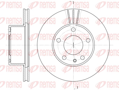 Brake Disc - 6298.10 REMSA