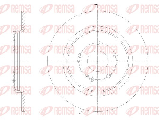 Brake Disc - 62519.00 REMSA