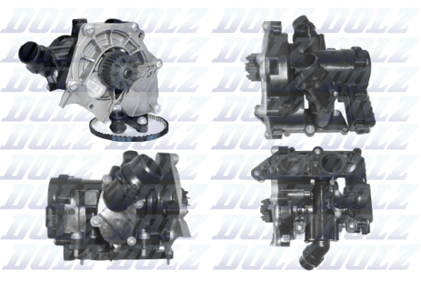 Water Pump - A281 DOLZ
