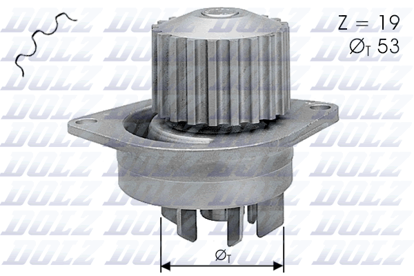 Pompa acqua - C113 DOLZ