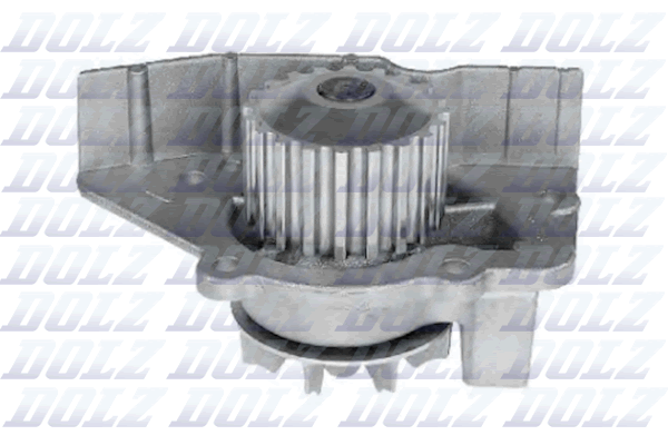 Water Pump - C117 DOLZ