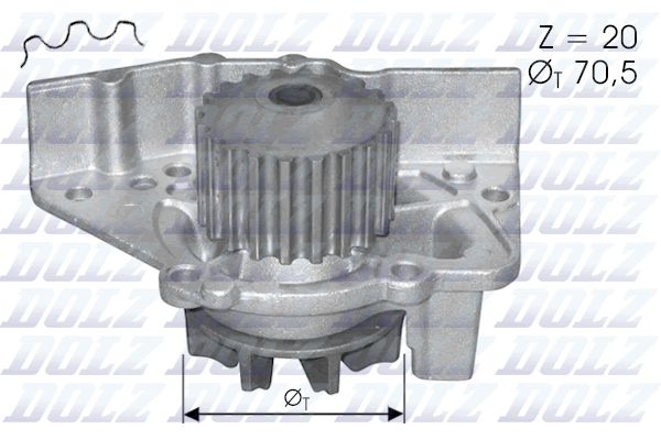 Water Pump - C119 DOLZ