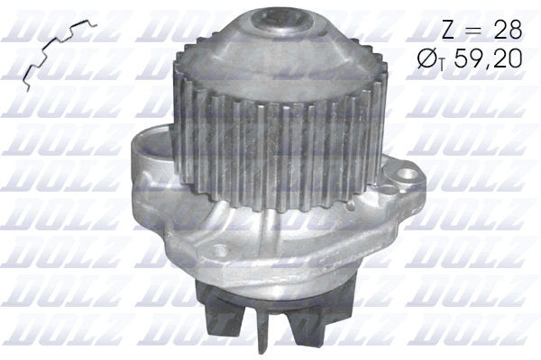 Pompa acqua - C123 DOLZ