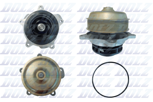 Water Pump - D321 DOLZ