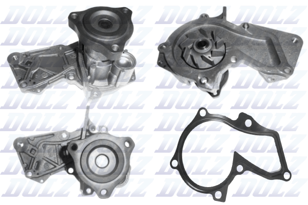 Water Pump - F234 DOLZ
