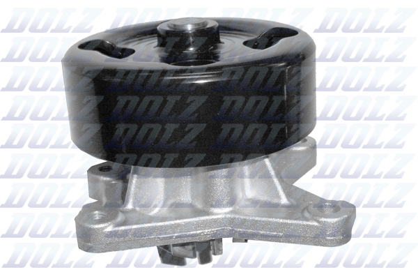 Water Pump - N150 DOLZ