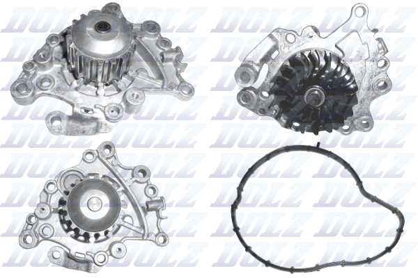 Water Pump - N210 DOLZ