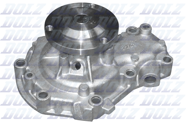 Water Pump - R165 DOLZ