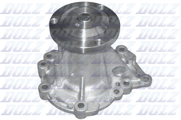 Water Pump - R210 DOLZ