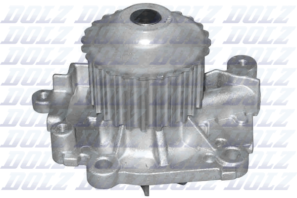 Water Pump - R301 DOLZ
