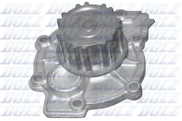 Water Pump - R302 DOLZ