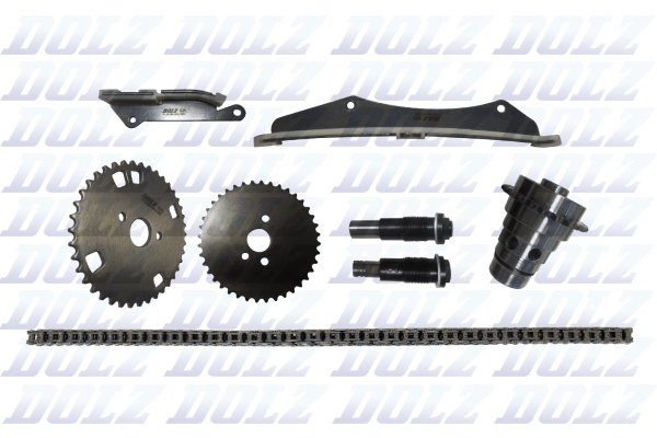 Kit catena distribuzione - SKCC060F DOLZ