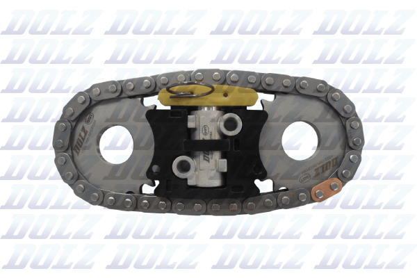 Kit catena distribuzione - SKCF064 DOLZ