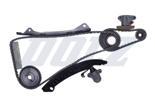 Timing Chain Kit - SKCN169 DOLZ
