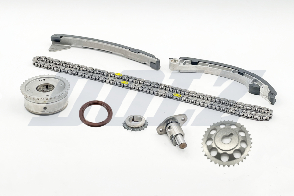 Timing Chain Kit - SKCT114V DOLZ