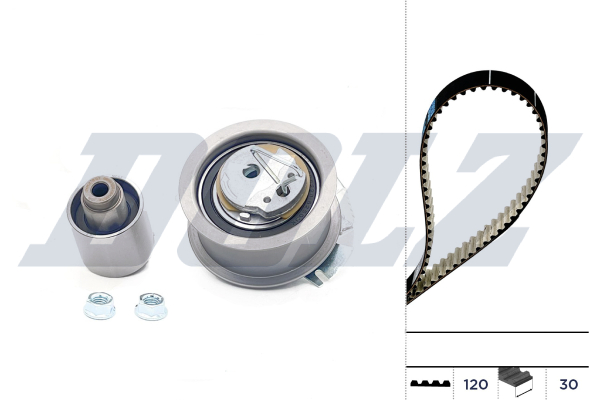 Timing Belt Set - SKD033 DOLZ