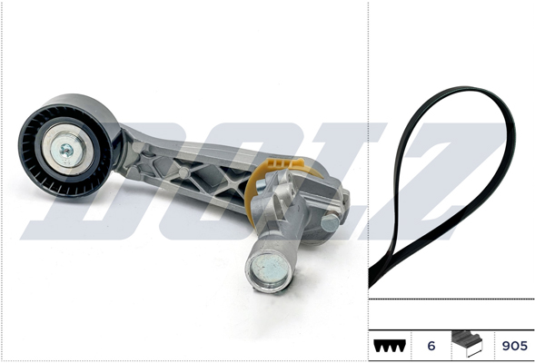 Timing Belt Set - SKD208A DOLZ