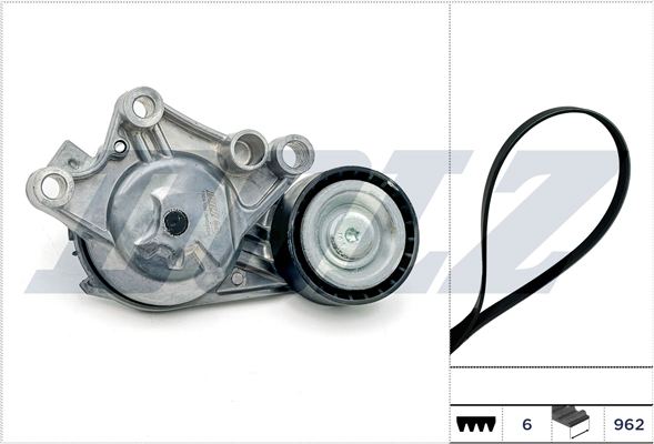 Kit cinghie dentate - SKD218A DOLZ