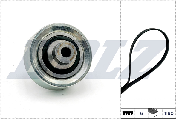 Timing Belt Set - SKD222A DOLZ