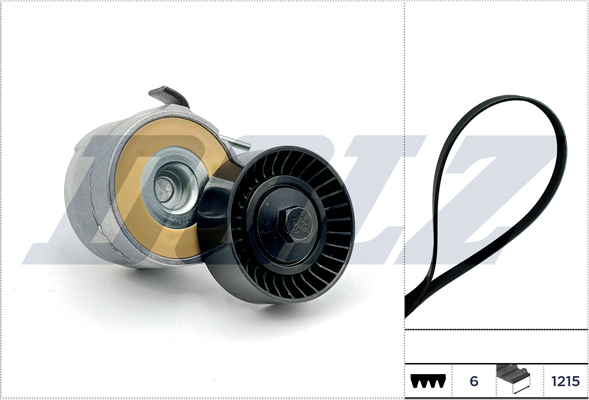 Timing Belt Set - SKD224A DOLZ