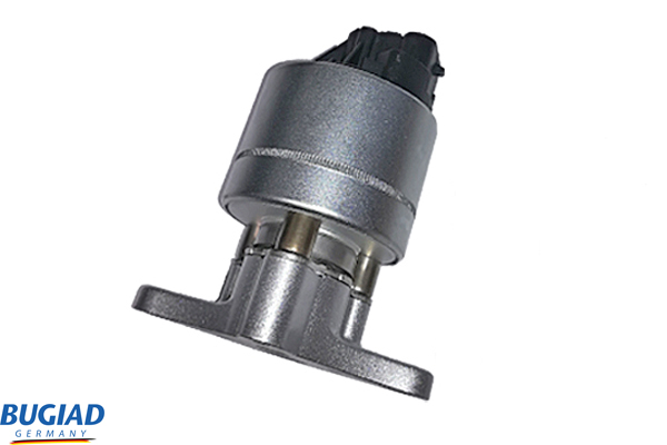 Door Lock - BSP24808 BUGIAD