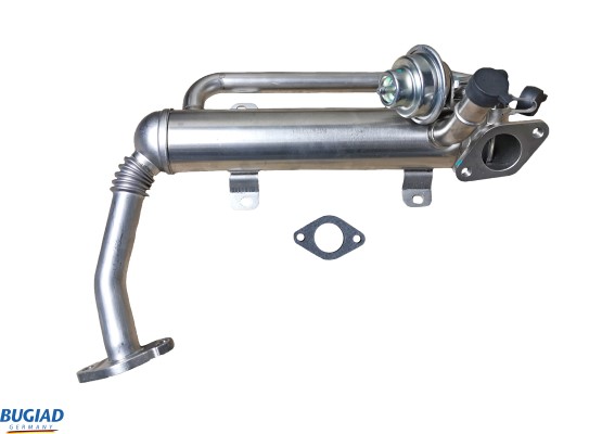 EGR Valve - BGR13105 BUGIAD