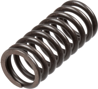 Clutch Spring Set - MEF316-5 TRW