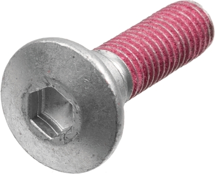 Screw Set, brake disc - MSS122-5 TRW