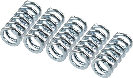 Clutch Spring Set - MEF111-5 TRW