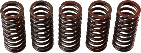 Clutch Spring Set - MEF304-5 TRW