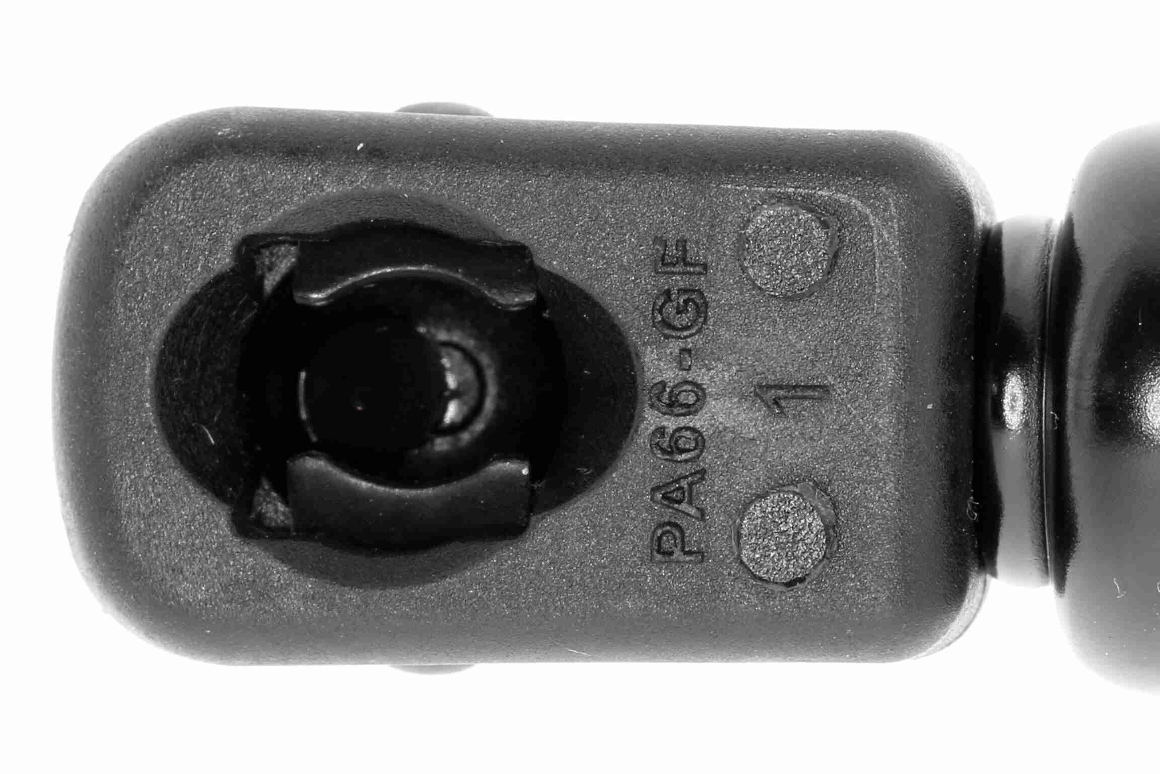 Шланг радиатора - V20-1769 VAICO