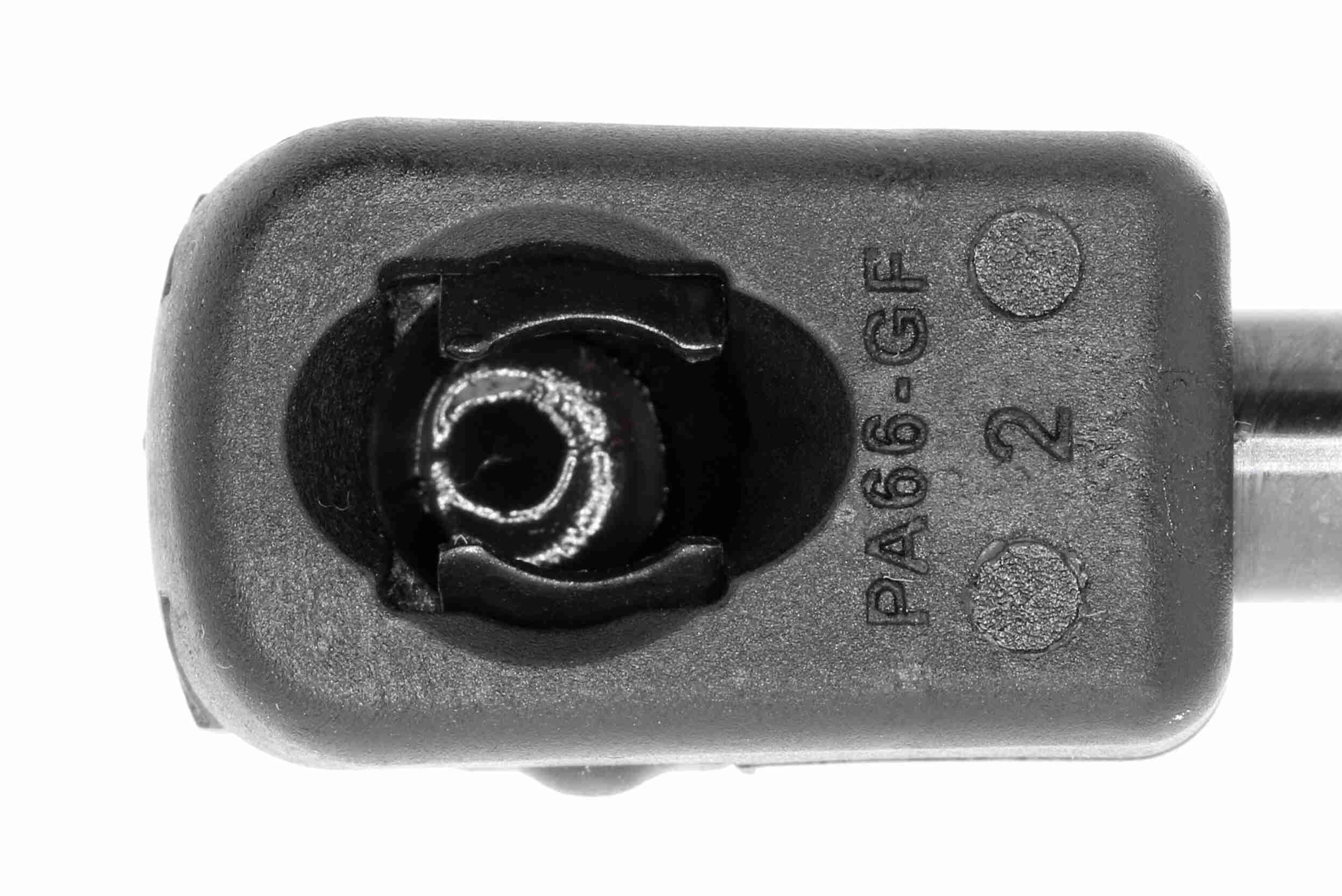 Шланг радиатора - V20-1769 VAICO