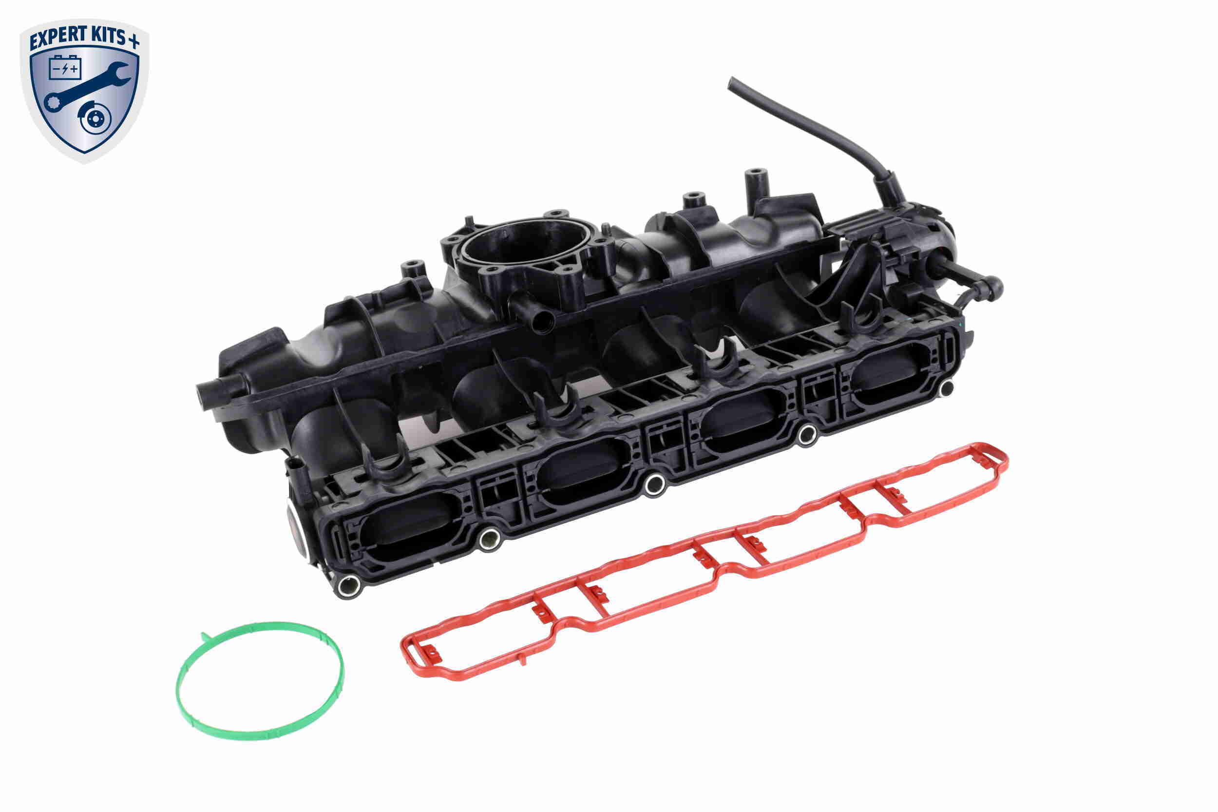 Intake Manifold Module - V10-3954 VAICO