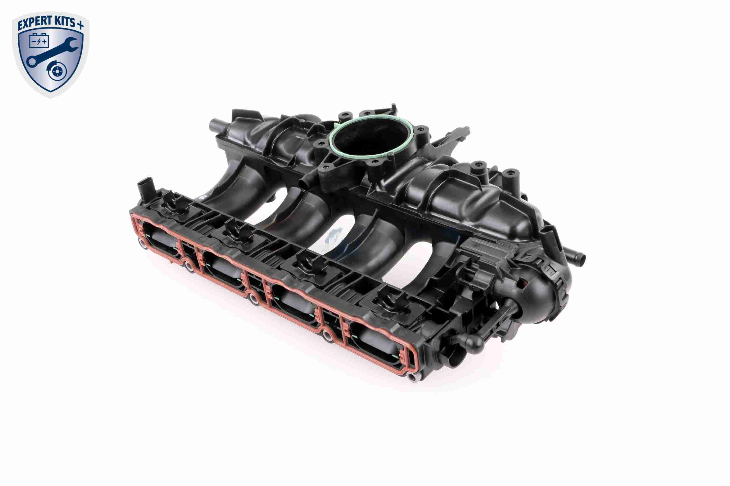 Intake Manifold Module - V10-3954 VAICO