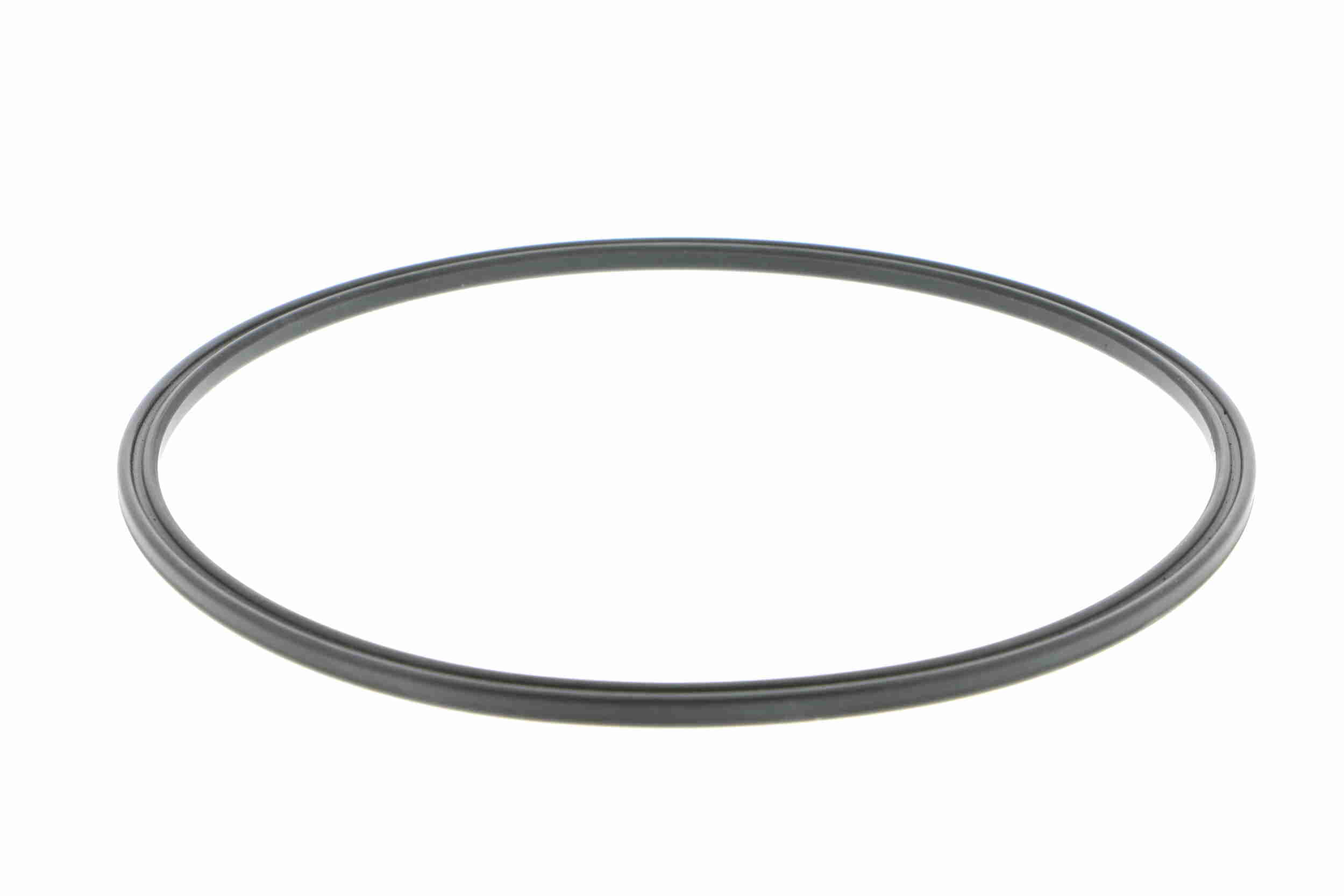 Seal, fuel sender unit - V10-4417 VAICO