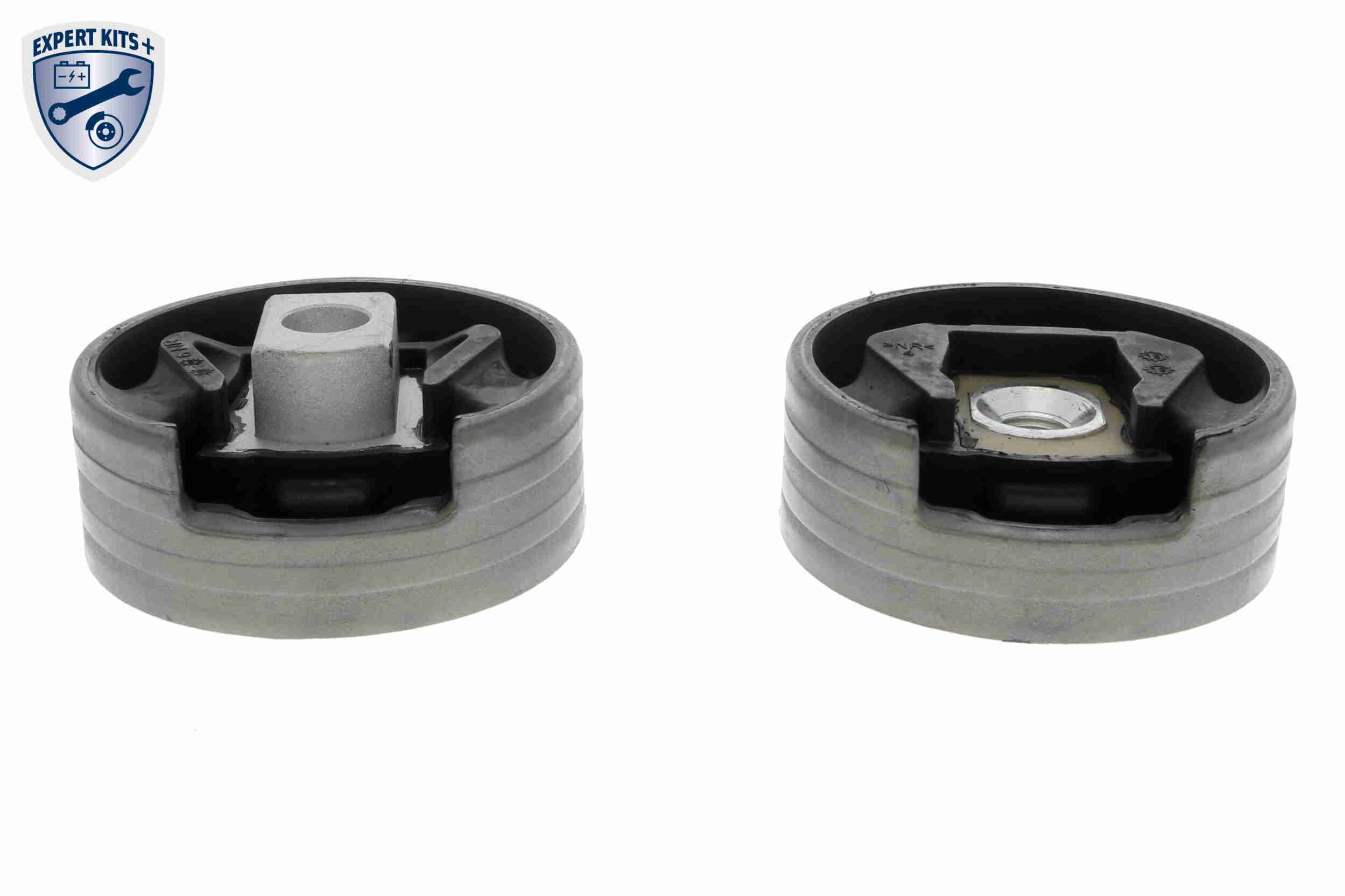 Hose, crankcase breather - V10-2522 VAICO
