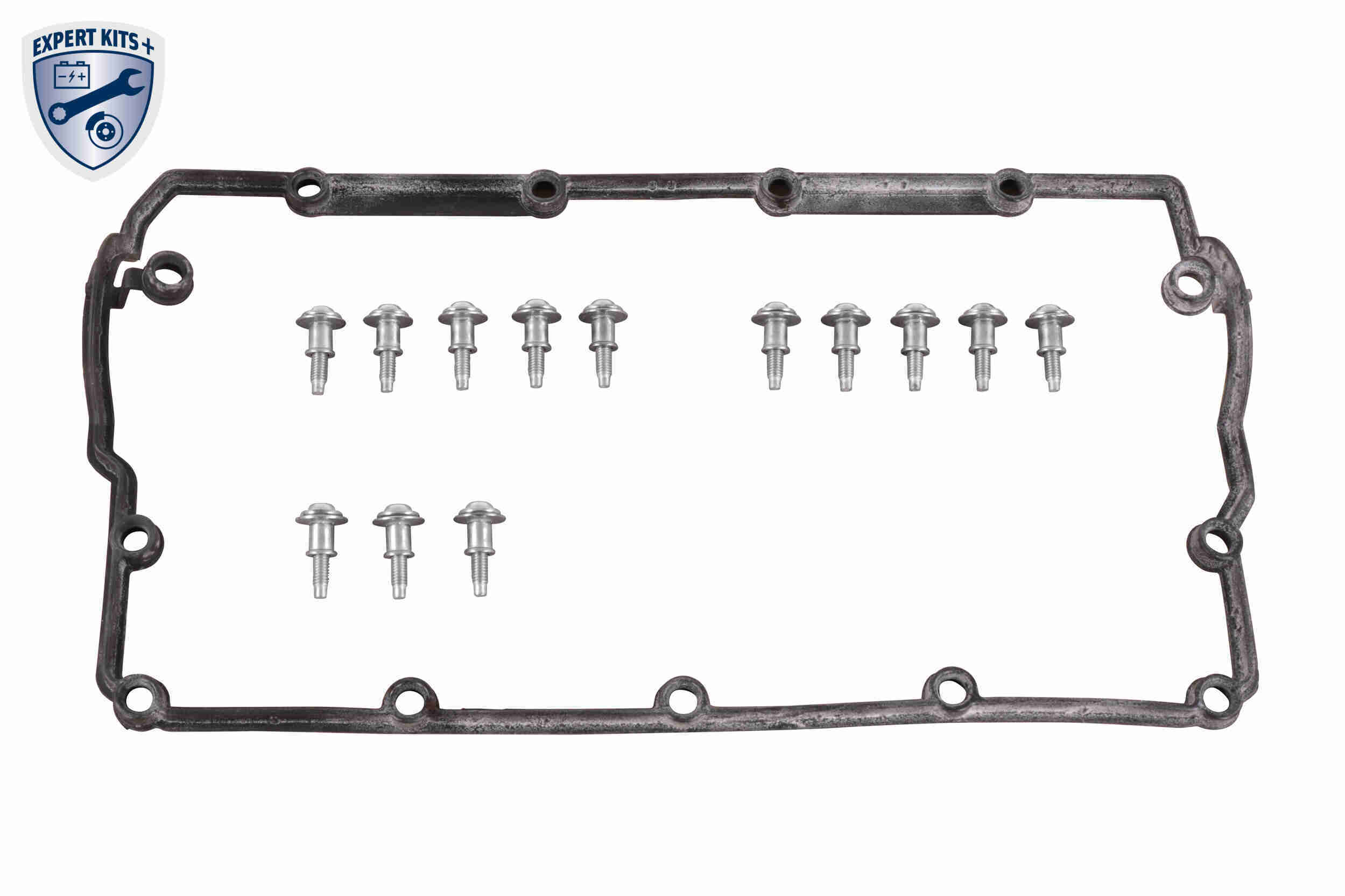 Cylinder Head Cover - V10-5993 VAICO
