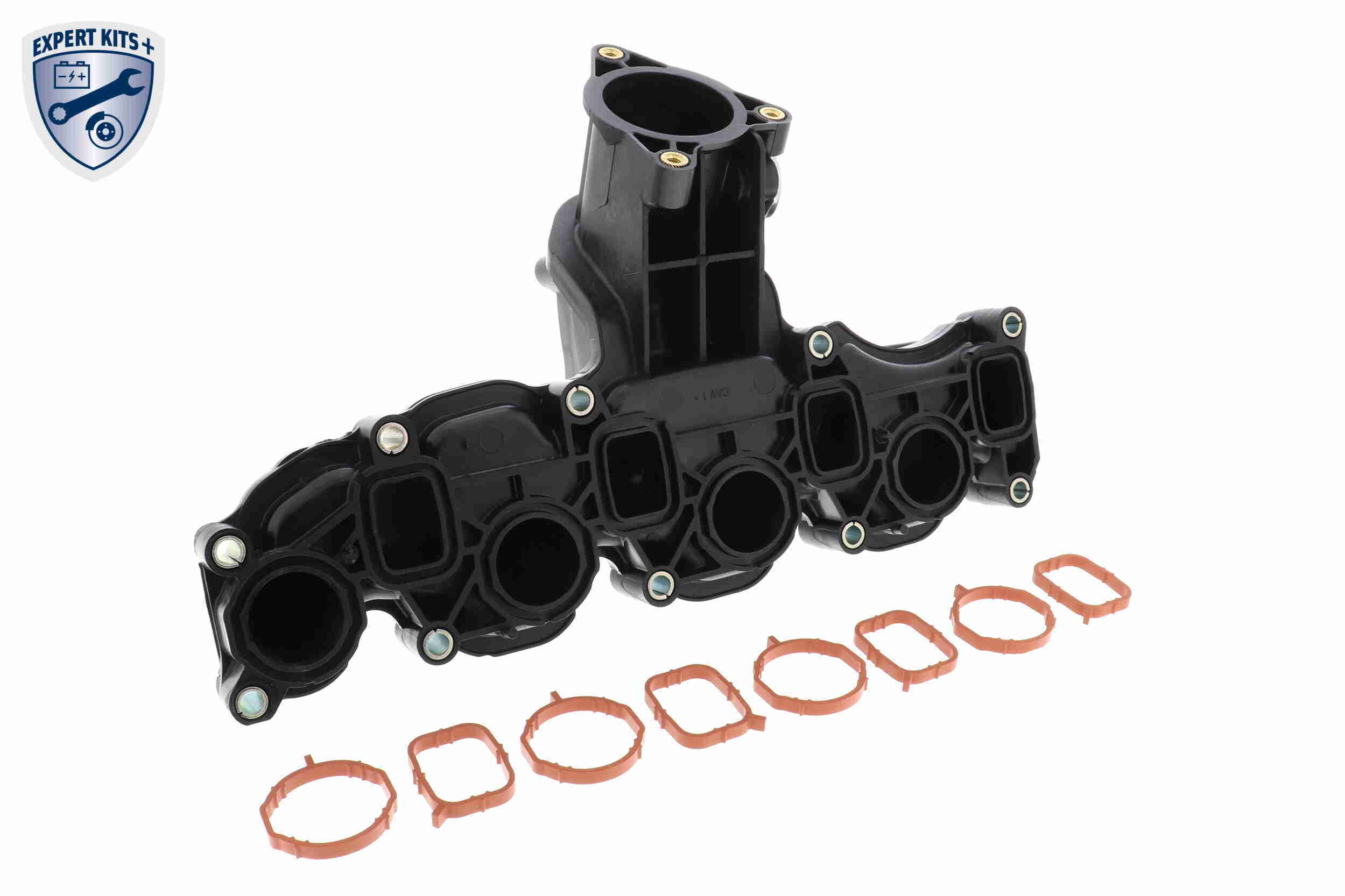 Intake Manifold Module - V10-6484 VAICO