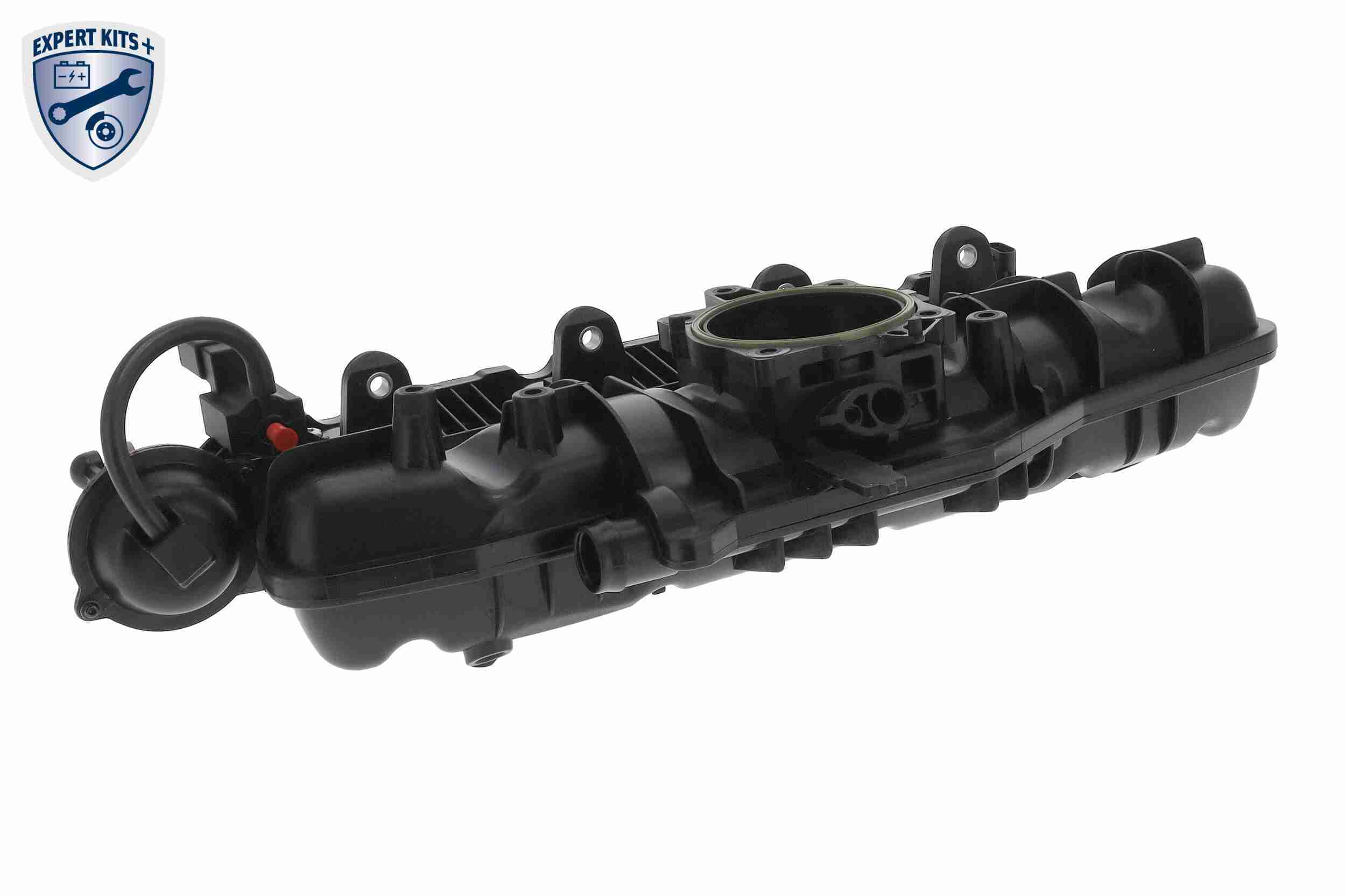 Intake Manifold Module - V10-6723 VAICO