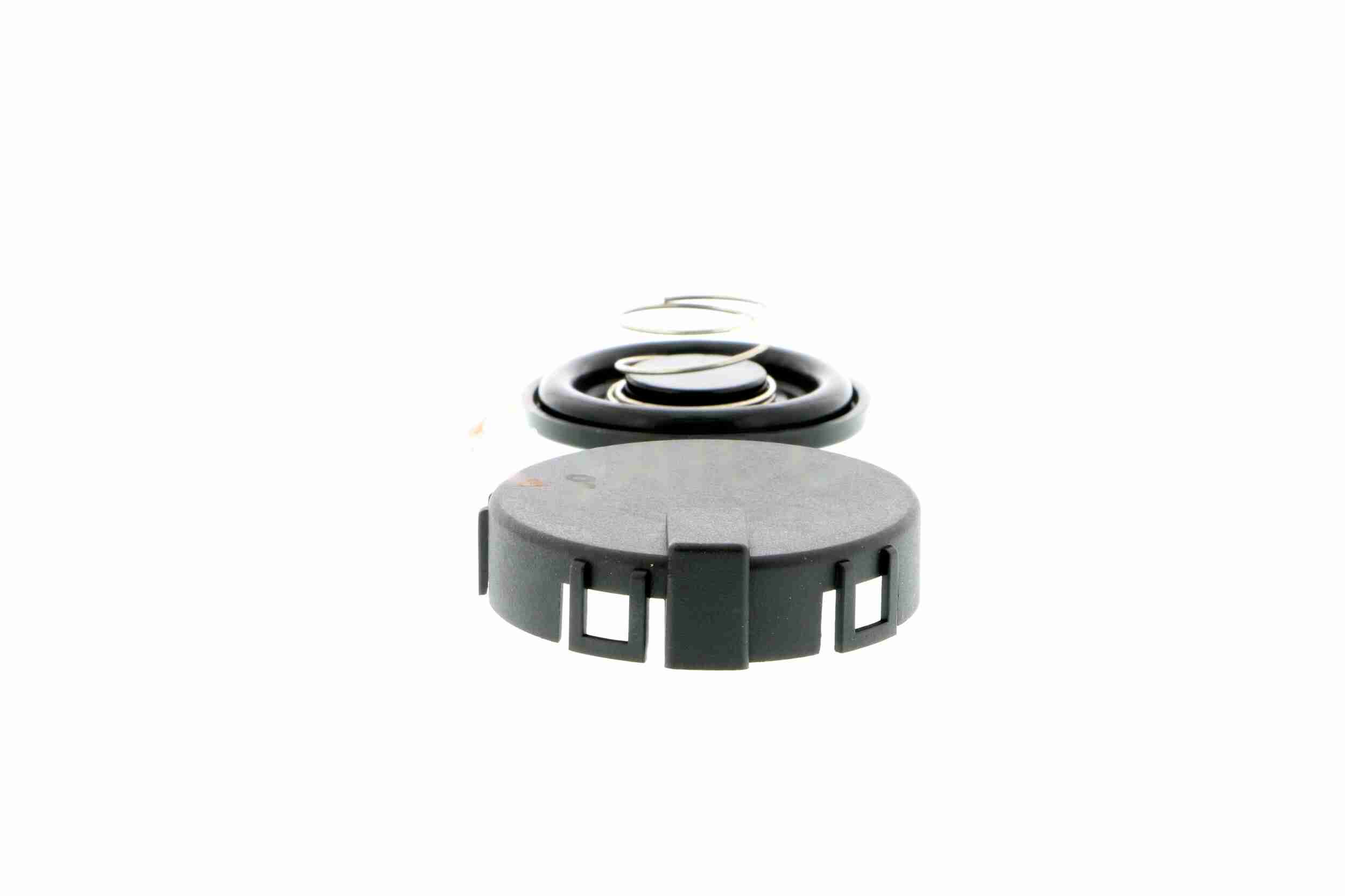 Intake Manifold Module - V24-0990 VAICO