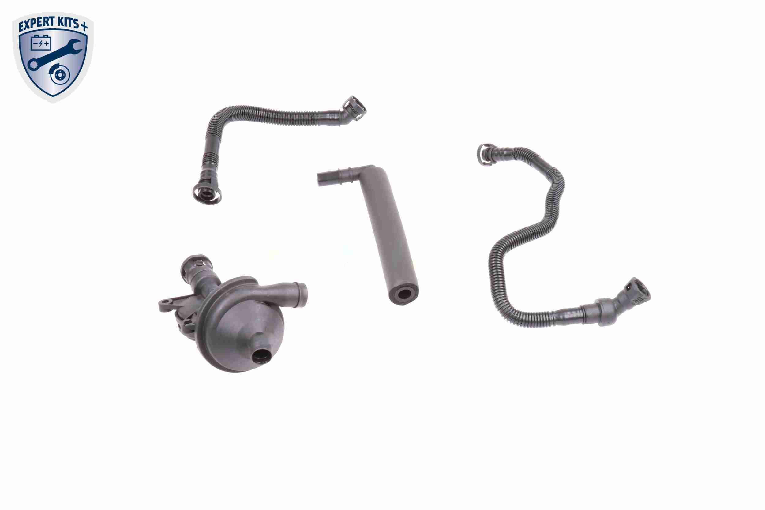 Repair Set, crankcase breather - V20-1873 VAICO