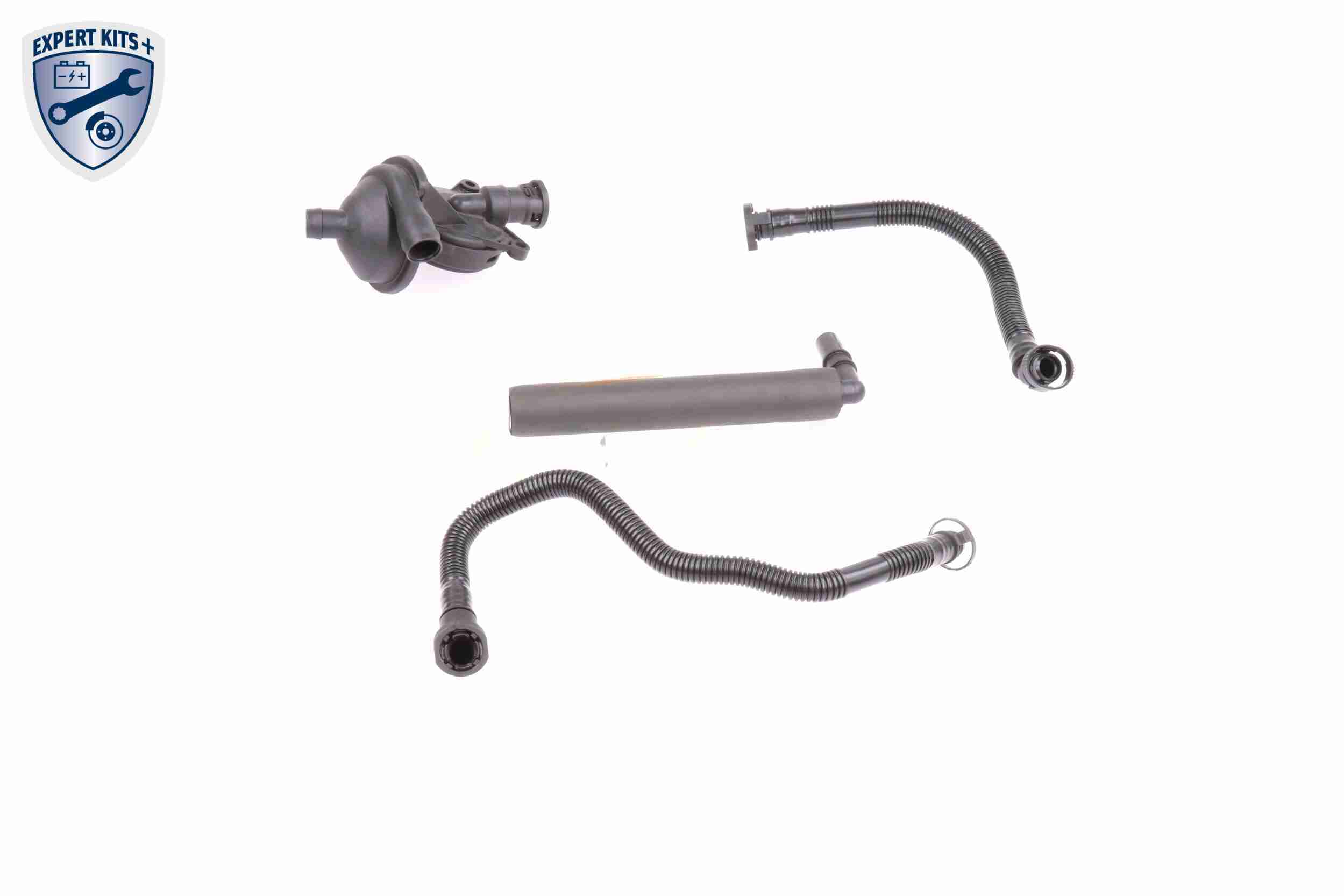 Repair Set, crankcase breather - V20-1873 VAICO