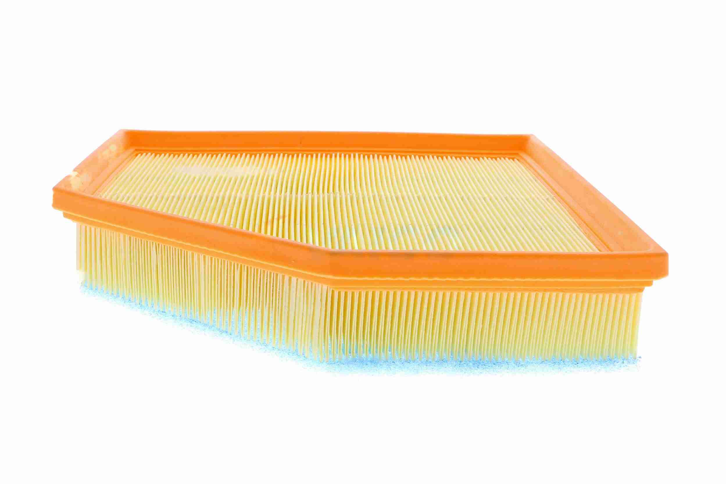 Cover, timing belt - V10-4425 VAICO