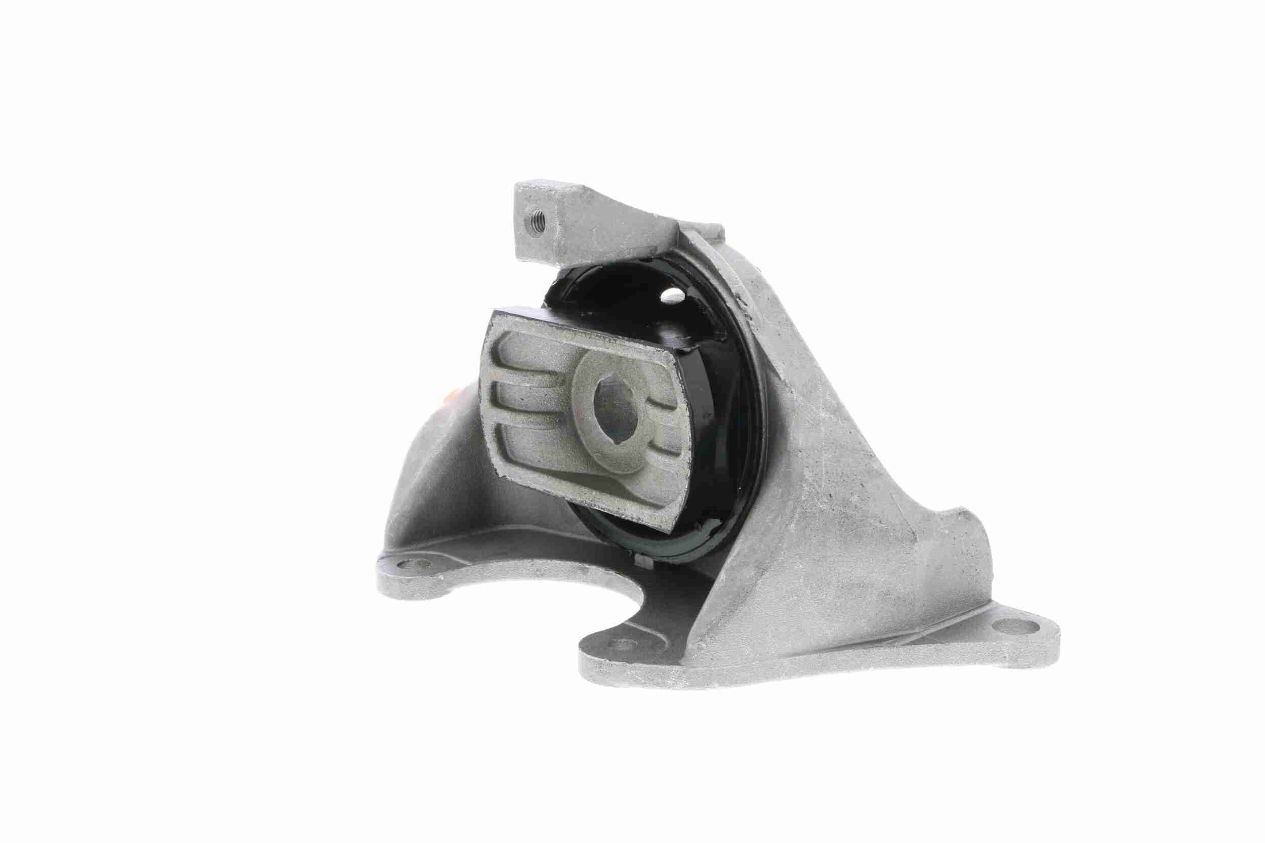 Supporto cuscinetto, Radiatore olio - V48-0462 VAICO