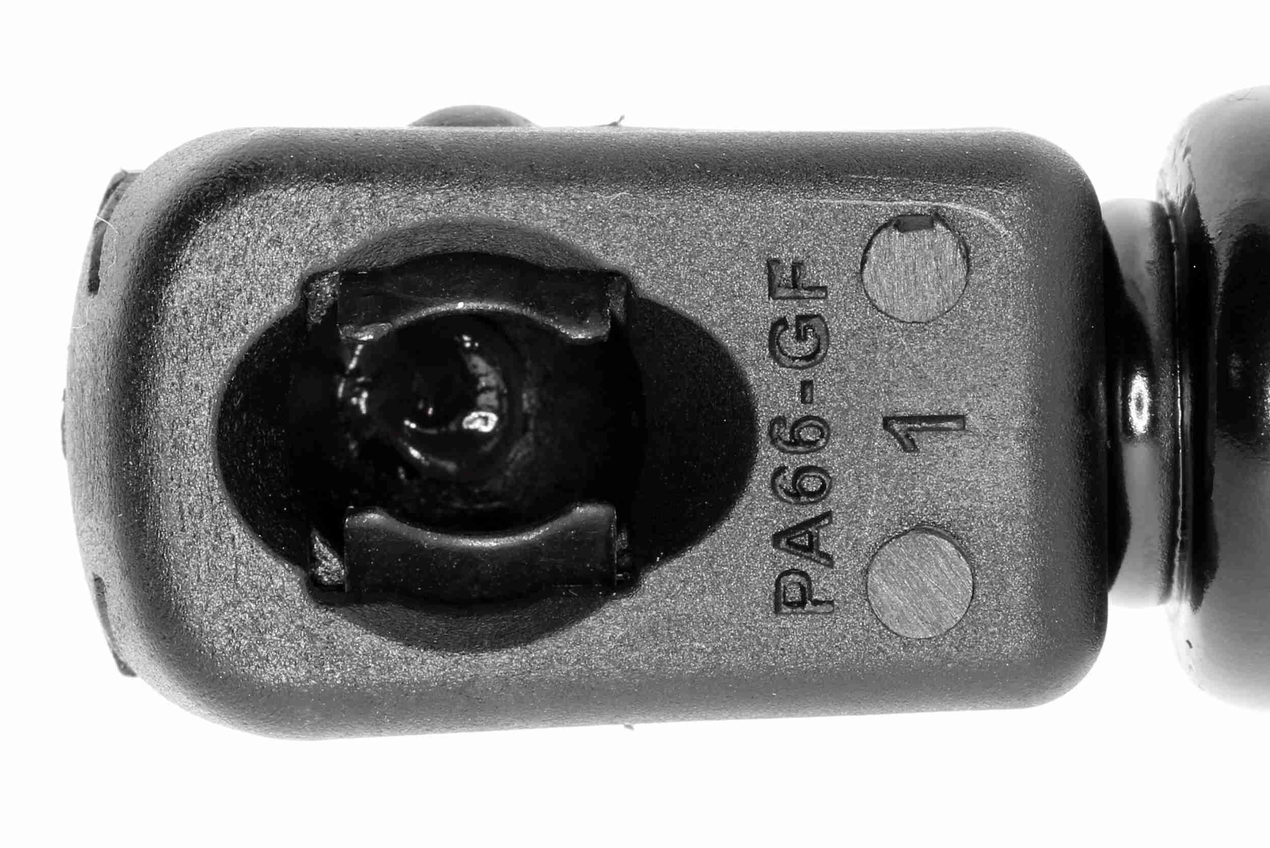 Газовая пружина, крышка багажник - V24-0499 VAICO