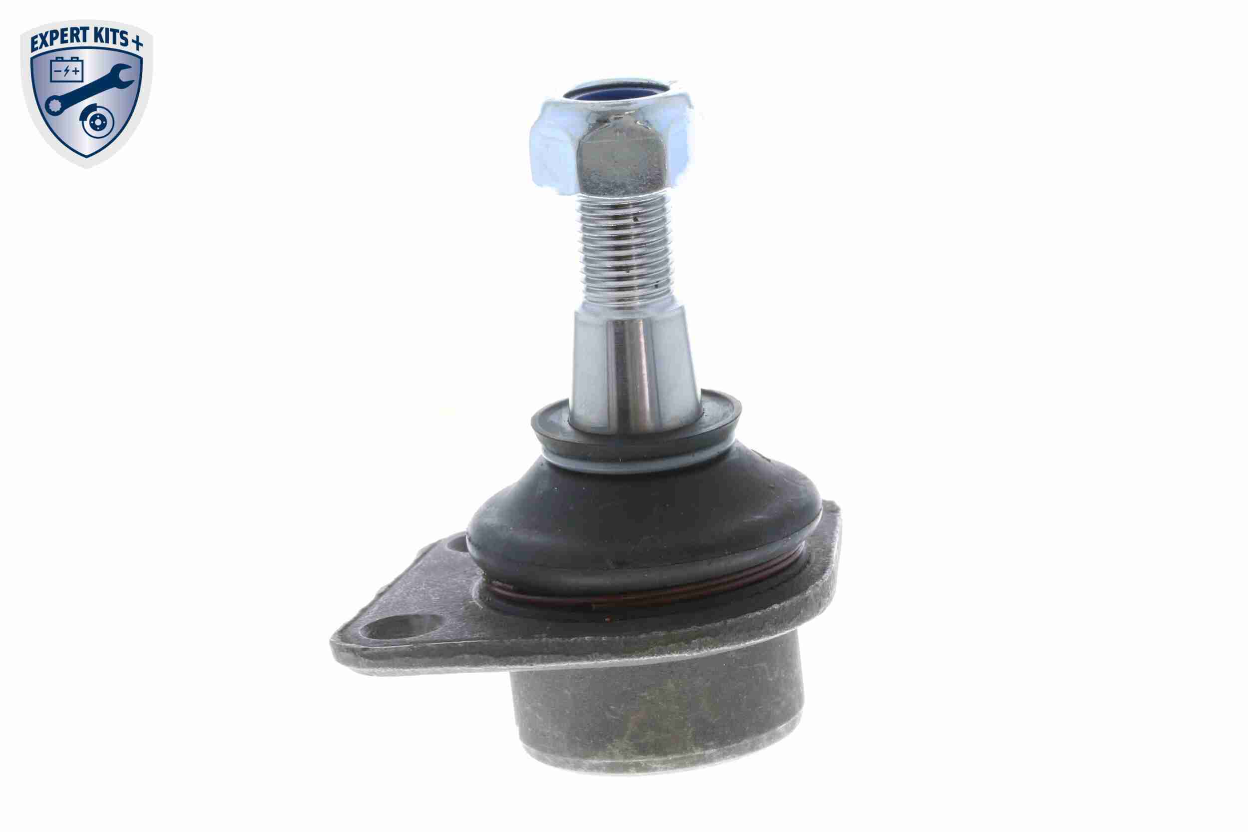Flessibile radiatore - V10-6928 VAICO